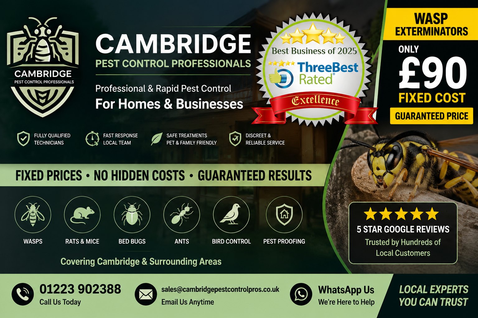 Cambridge Pest Control Pros &mdash; professional and rapid pest control for homes and businesses, £90 fixed cost wasp nest treatment