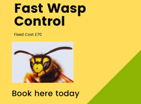 Wasp nest removal Cambridgeshire
