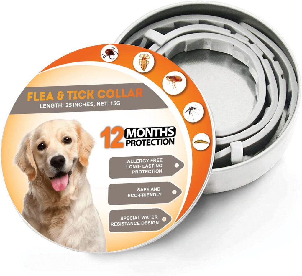 Say Goodbye to Fleas on Your Dog with Flea & Tick Collar for Dogs in Cambridgeshire
