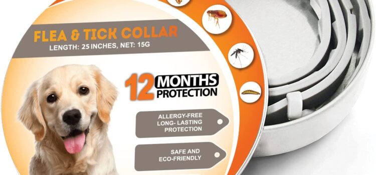 Say Goodbye to Fleas on Your Dog with Flea & Tick Collar for Dogs in Cambridgeshire