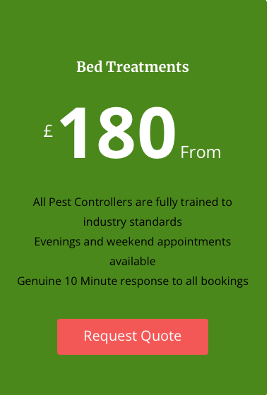 bedbug treatment process that is tailored to their specific needs