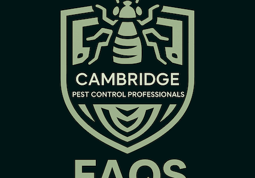 faqs cambridge rat control