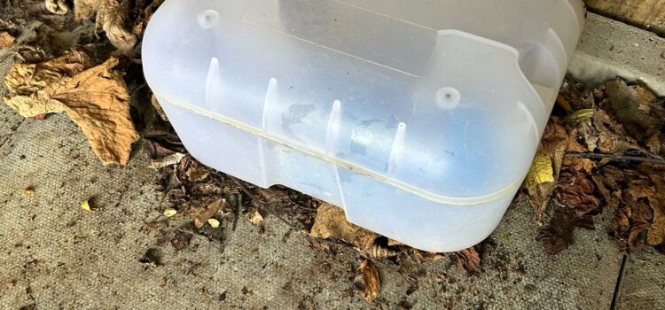 rat exterminator cambridge
