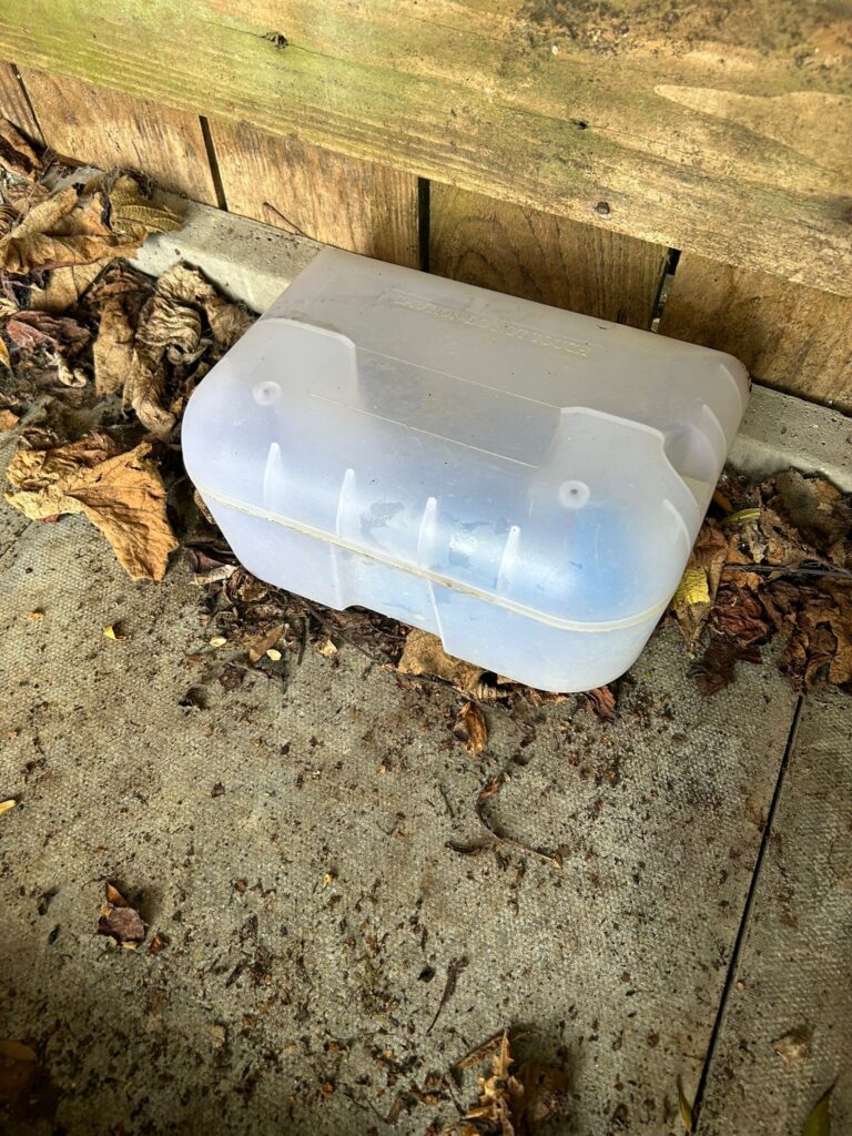 rat exterminator cambridge