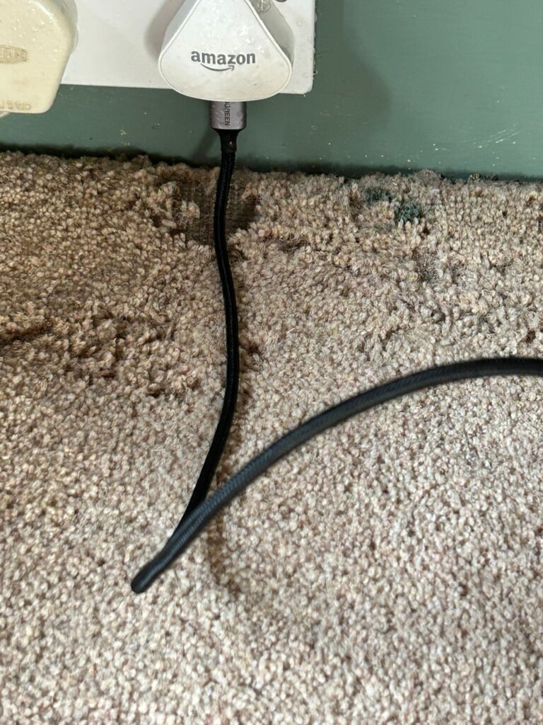 Carpet moth control cambridge