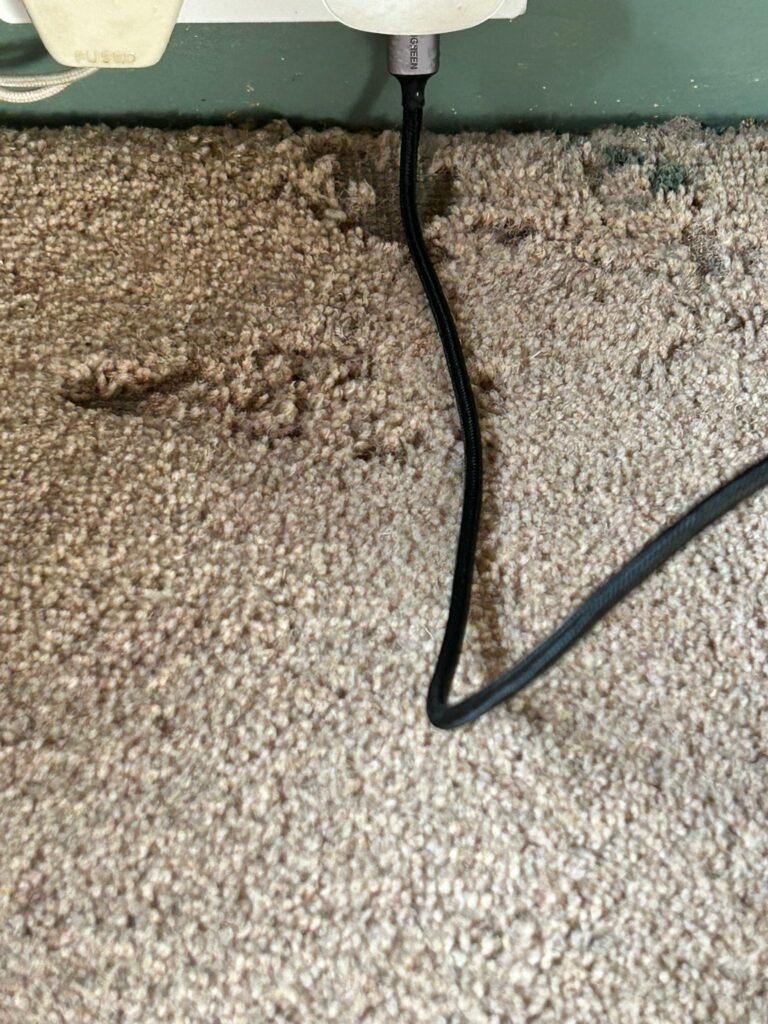 Carpet moth control cambridge