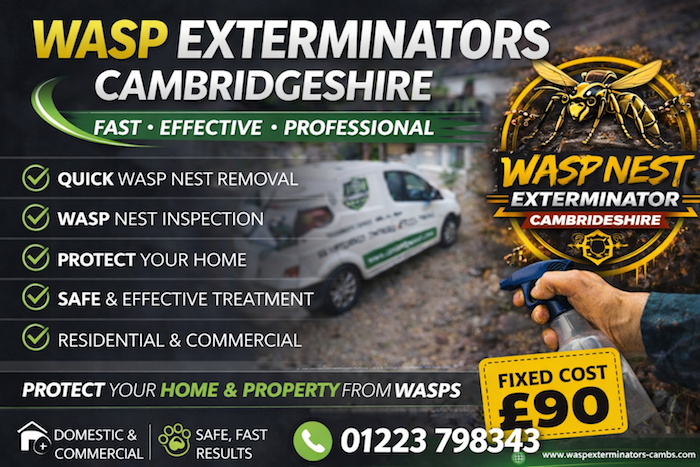 wasp exterminator hertofrdshire