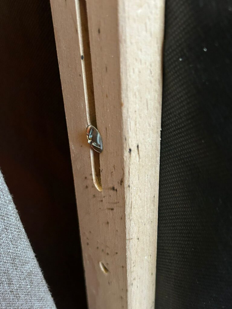 bedbug treatments in Sawston