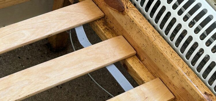 bedbug exterminator Swavesey