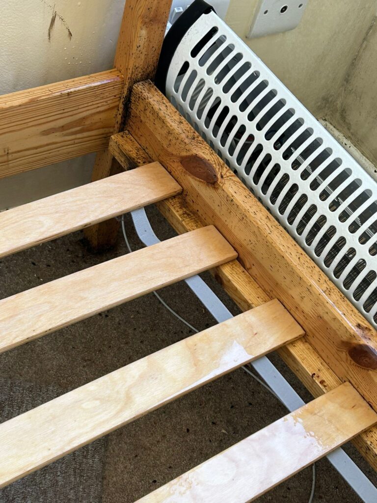 bedbug exterminator Swavesey