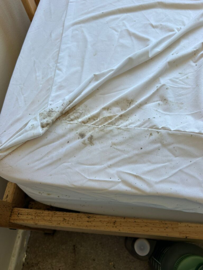 Bed Bug Control Oundle