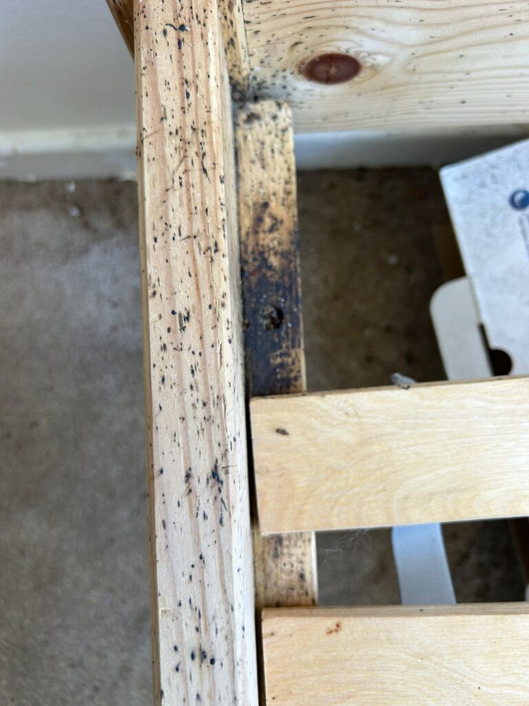 Bed Bug Control Oundle